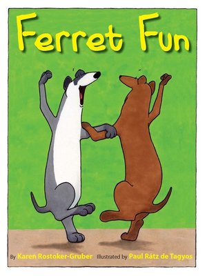 cover image of Ferret Fun